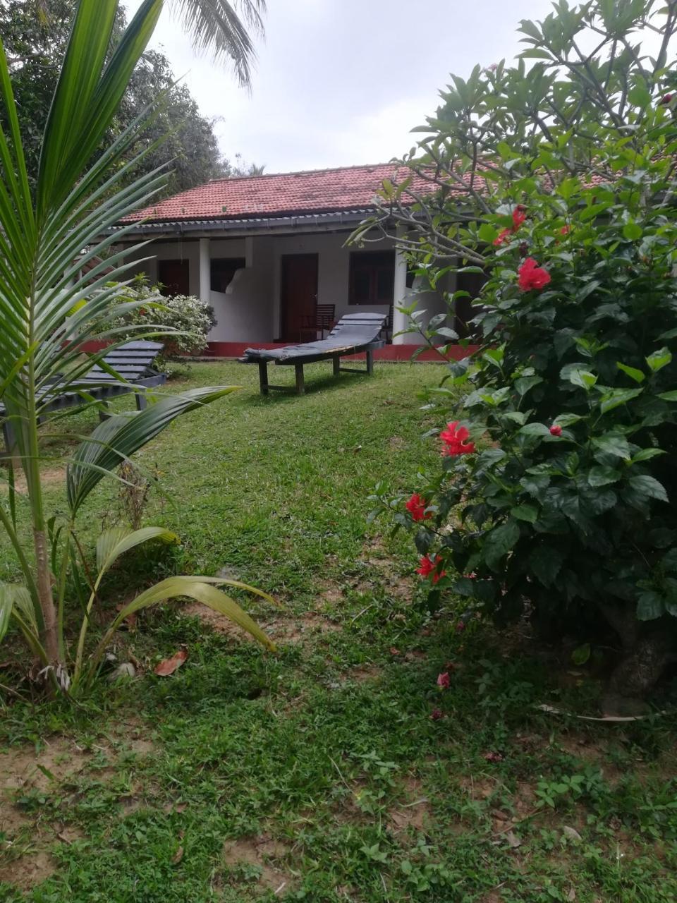 Star Beach Hotel Tangalle Exterior foto